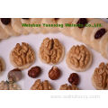 new crop Chinese Walnut Kernels Light Halves(LH)